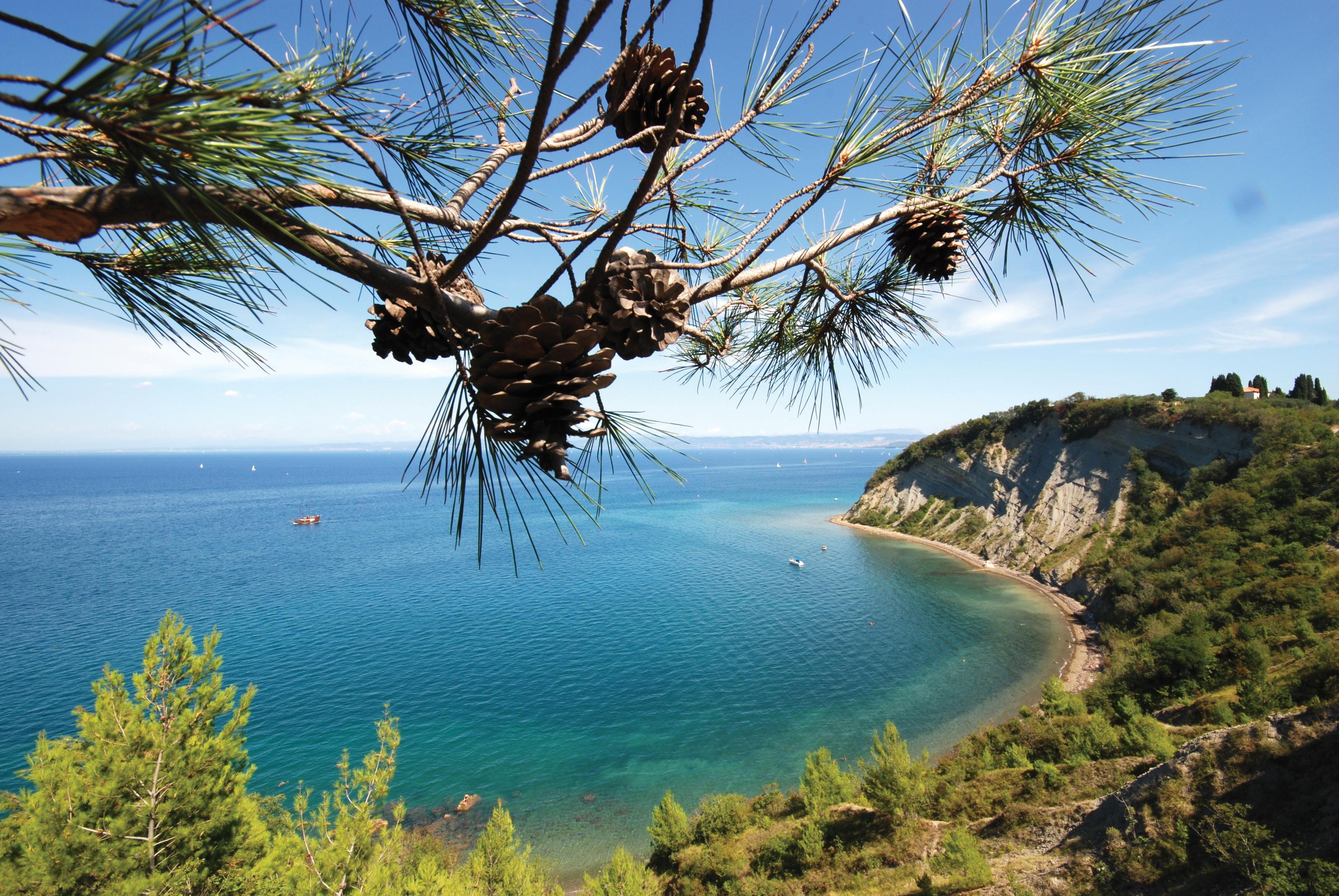 Bioenergy Resort Salinera Apartments Strunjan Kültér fotó
